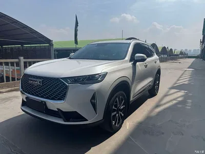 2021 Haval H6 3rd Gen 1.5T Auto 2WD Pro, фото 1, лот 10445680