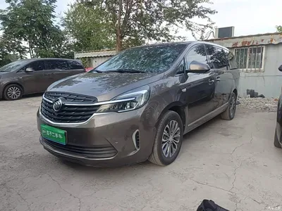 2021 Buick GL8 Land Business Class 652T Premium, фото 1, лот 10386878