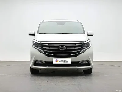 2018 GAC Trumpchi Trumpchi M8 320T Premium Edition, фото 2, лот 10414807