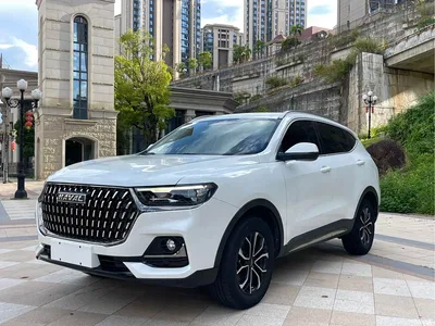 2021 Haval H6 National Trend Edition 1.5GDIT Automatic Champion Edition, фото 1, лот 10416556