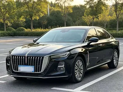 2024 Hongqi H5 2.0T Automatic Smart Connect Flag Smooth Edition, фото 1, лот 11011356