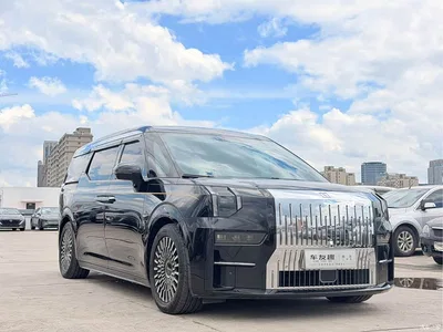 2022 ZEEKR 009 WE Edition, фото 3, лот 10291175