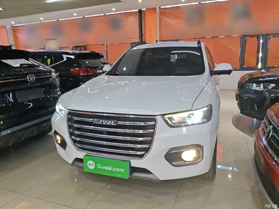 2020 Haval H6 2.0GDIT Automatic Platinum Champion Edition, фото 1, лот 10482226