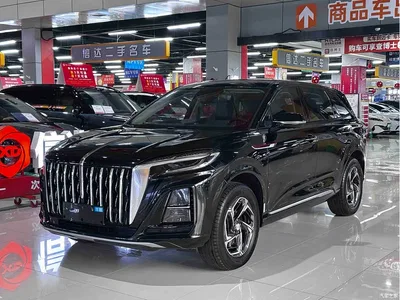 2024 Hongqi HS3 1.5T Aspiration Edition, фото 1, лот 10286472