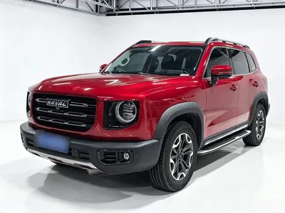 2021 Haval Big Dog 2.0T DCT 4WD Chinese Rural Dog Edition, фото 1, лот 10361271