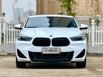 2022 BMW X2 sDrive25i M Sport Package, фото 1, лот 10425578