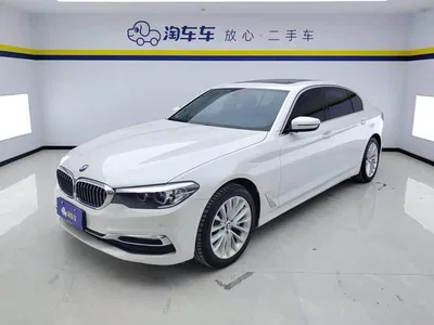 2019 BMW 5 Series 530Li Leading Luxury Package, фото 1, лот 11536873