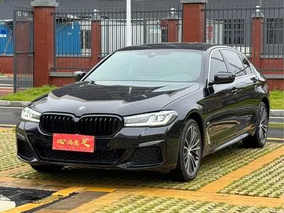 2021 BMW 5 Series 530Li Leading M Sport Package, фото 1, лот 10784938