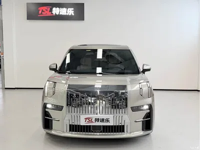 2022 ZEEKR 009 WE Edition, фото 2, лот 11564524