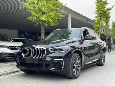 2022 BMW X5 Facelift xDrive 30Li Premium M Sport Package, фото 1, лот 10463079