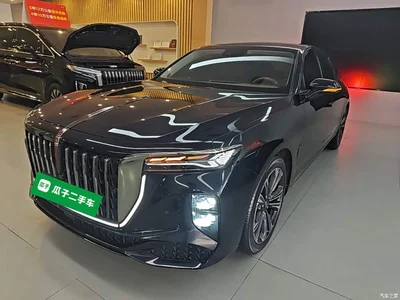 2024 Hongqi H9 2.0T Qi Enjoy Private Fashion Edition, фото 1, лот 10289527