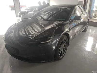 2025 Tesla Model 3 Model Rear-Wheel Drive Edition, фото 1, лот 11016949