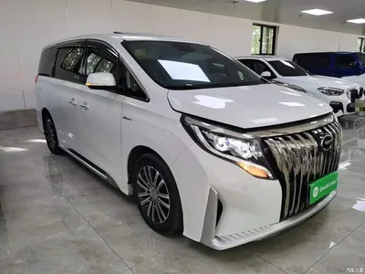 2021 GAC Trumpchi Trumpchi M8 Master Series 390T Prestige Edition, фото 4, лот 10425410