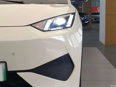 2025 BYD Seagull Smart Driving Edition 405km Flying Edition, фото 2, лот 10245282