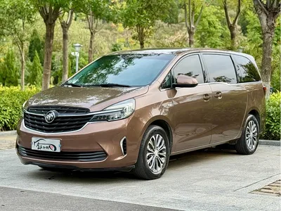 2020 Buick GL8 Model Land Business Class 652T Comfort, фото 1, лот 10667947