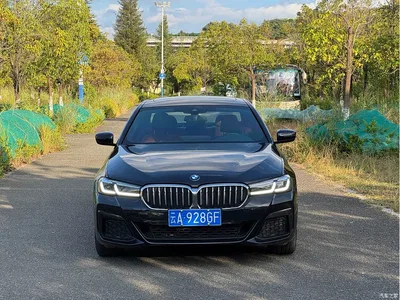 2022 BMW 5 Series Facelift 525Li M Sport Package, фото 2, лот 11003141