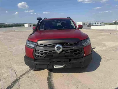2021 Great Wall Pao Model 2.0T Off-Road Automatic Gasoline 4WD Everest Edition GW4C20B, фото 2, лот 10246225
