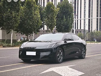 2025 Lynk & Co 10 EM-P Model 120km Base Version, фото 1, лот 10837758