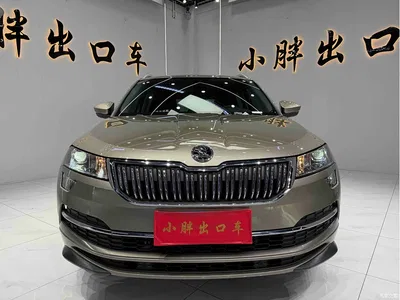 2022 Škoda Karoq TSI280 Premium Edition, фото 2, лот 10348717