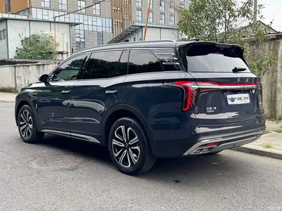 2023 Hongqi HS7 2.0T Automatic 4WD Flag Leader Edition (6-seater), фото 4, лот 10286814