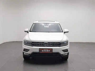 2019 Volkswagen Tiguan L 380TSI Automatic 4WD Intelligent Luxury 7-seater China VI, фото 3, лот 11249304