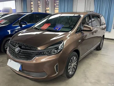 2022 Buick GL8 Land Business Class 652T Luxury, фото 1, лот 10262248