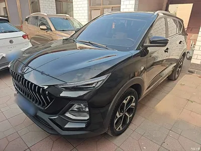 2021 Sehol X8 300T DCT Leading Smart Connect Edition 5-Seater, фото 1, лот 11153481