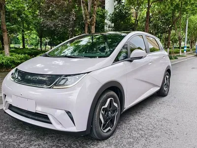 2021 BYD Dolphin Model 405km Fashion Edition, фото 1, лот 10257735