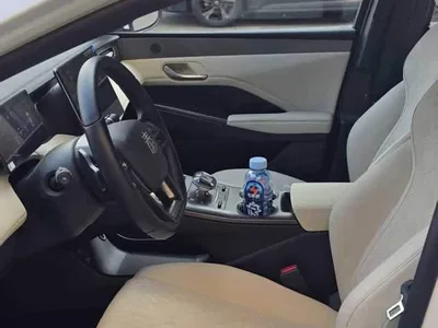 2025 BYD Qin PLUS EV Smart Drive Edition 510KM Leading Type, фото 4, лот 11249208
