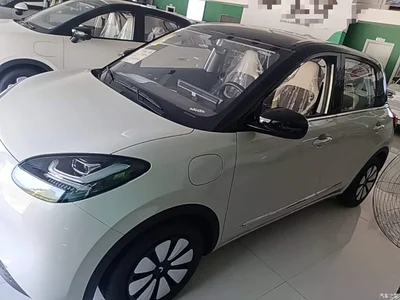 2024 Wuling Motors Wuling Bingo 333km Comfort Edition, фото 2, лот 10371260