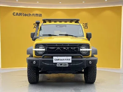2022 Tank 300 2.0T Border Limited Edition, фото 3, лот 10345744