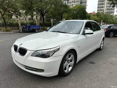 2010 BMW 5 Series 520Li Luxury, фото 1, лот 11584698