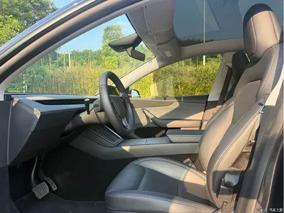 2025 Tesla Model Y Rear-Wheel Drive, фото 4, лот 10768588