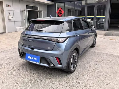 2025 BYD Dolphin 420km Freedom Edition, фото 3, лот 10401158