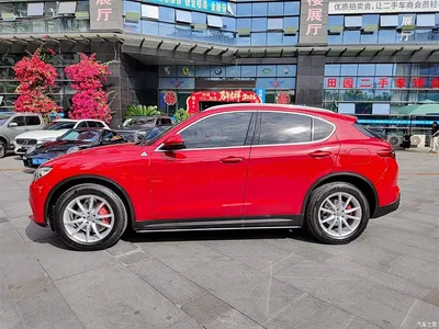 2017 Alfa Romeo Stelvio 2.0T 200HP Luxury Edition, фото 3, лот 10239816