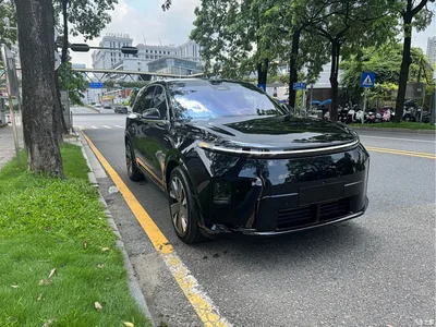 2026 Li Auto Li L8, фото 3, лот 10824912