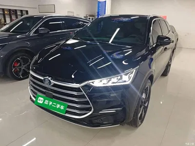 2023 BYD Tang New Energy Model DM-i Champion Edition 112KM Deluxe, фото 1, лот 10272489