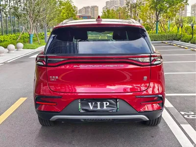 2021 BYD Tang New Energy DM-i 112KM Honor, фото 4, лот 10274301