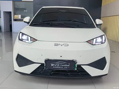 2025 BYD Seagull Smart Driving Edition 405km Flying Edition, фото 2, лот 10621783