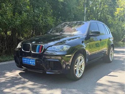 2010 BMW X5 M, фото 1, лот 10477136