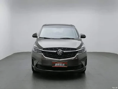 2022 Buick GL8 Land Business Class 652T Luxury, фото 3, лот 10620687