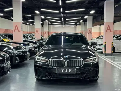 2020 BMW 5 Series New Energy 530Le Luxury Package, фото 2, лот 10474214