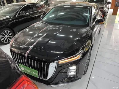 2025 Hongqi H5 2.0T Automatic Flag Celebration 500,000 Units Anniversary Edition, фото 3, лот 10289594