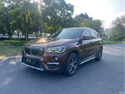 2016 BMW X1 sDrive20Li Luxury Model, фото 1, лот 10679722