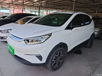 2021 BYD Yuan Pro Lifetime Love Edition, фото 1, лот 10362029