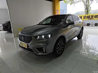 2021 WEY VV5 1.5T 2WD Smart Pioneer, фото 1, лот 11489596