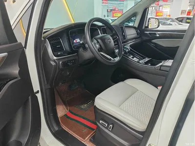 2020 GAC Trumpchi Trumpchi M8 Pilot 390T Luxury Edition, фото 4, лот 10416912