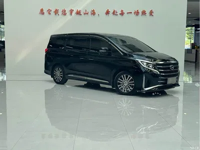2021 GAC Trumpchi Trumpchi M8 Leading Show Series 390T Ultimate Edition, фото 3, лот 10419765