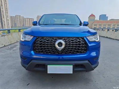2021 Great Wall Pao 2.0T Commercial Edition Automatic Diesel 2WD Elite Long Box GW4D20M, фото 2, лот 10246325