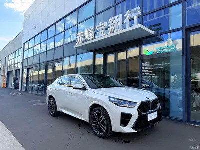 2024 BMW X2 (Import) xDrive25i M Sport Shadowline Package, фото 3, лот 10285088